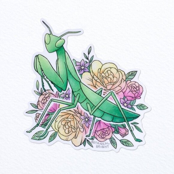3 for $15 - European Praying Mantis with Roses Sticker -‎ Waterproof Vinyl - Picture 1 of 2